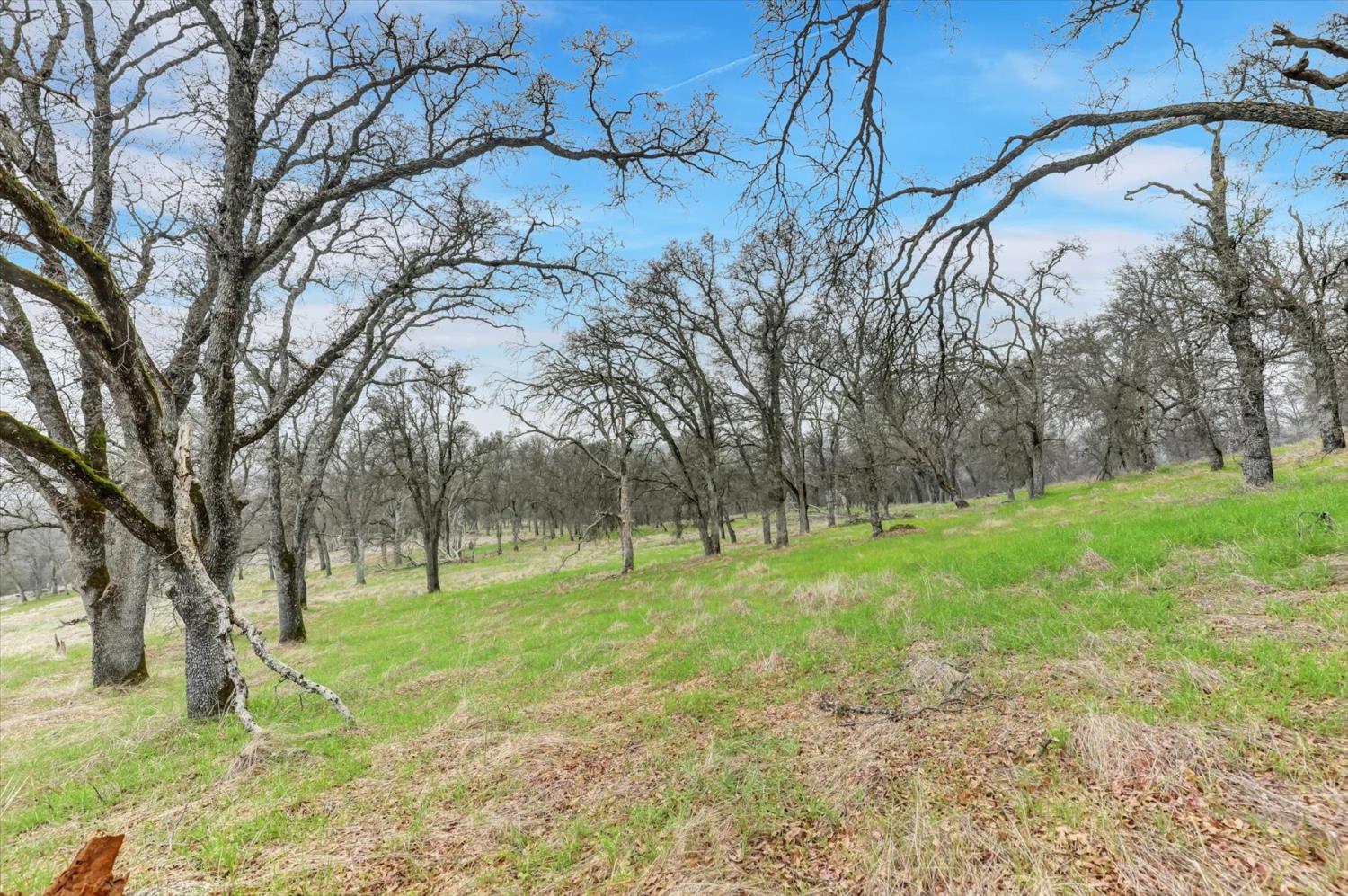 0 Scott Forbes Road Browns Valley, CA 95918 - Photo 43 of 78