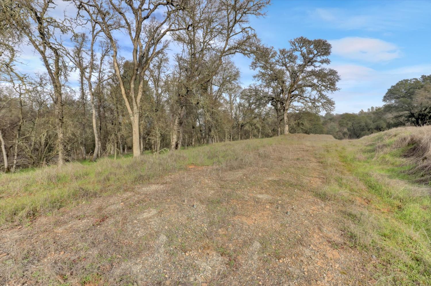 0 Scott Forbes Road Browns Valley, CA 95918 - Photo 44 of 78 a view of a field with trees in the background