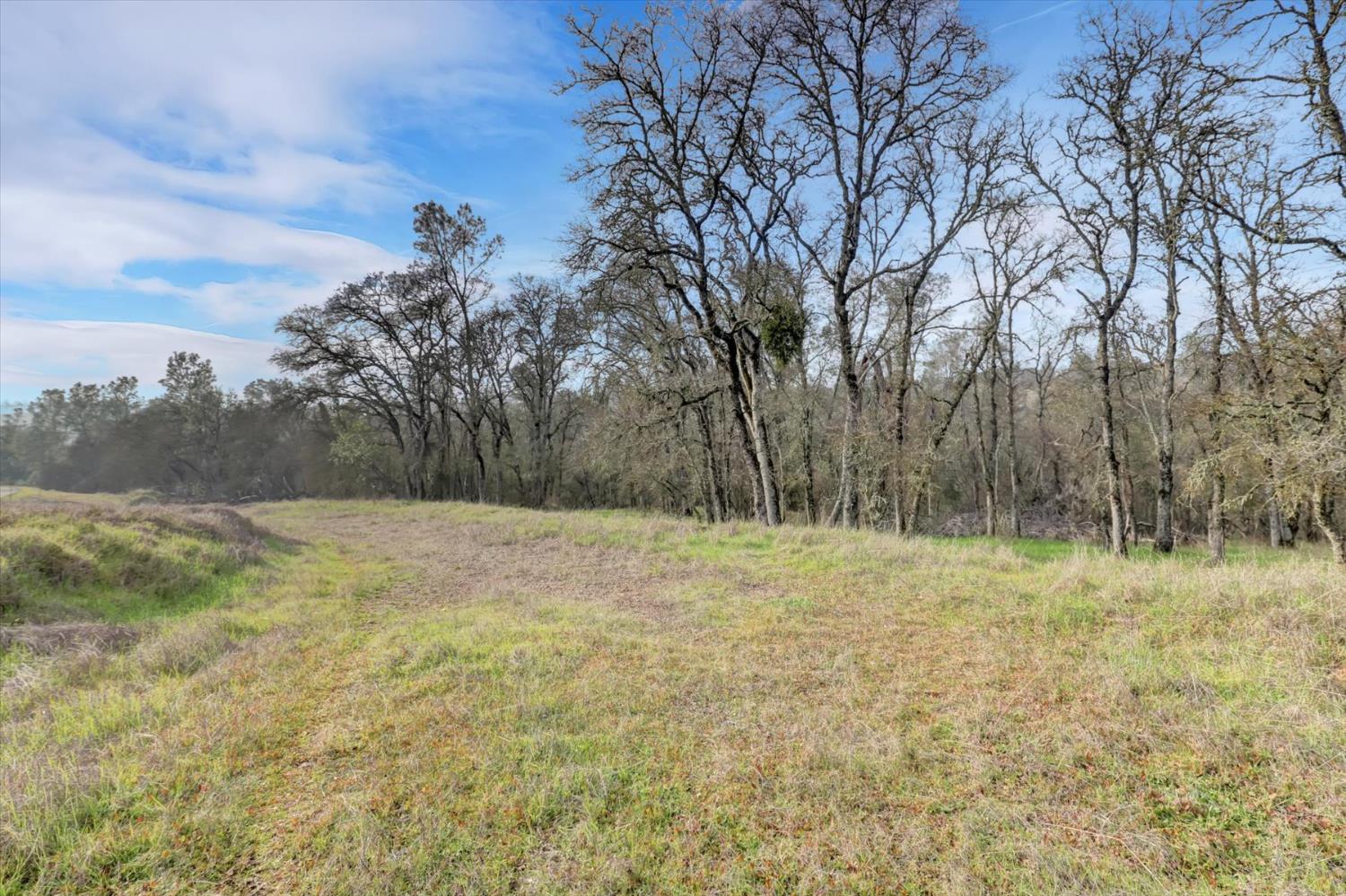 0 Scott Forbes Road Browns Valley, CA 95918 - Photo 45 of 78 a view of a yard with an trees