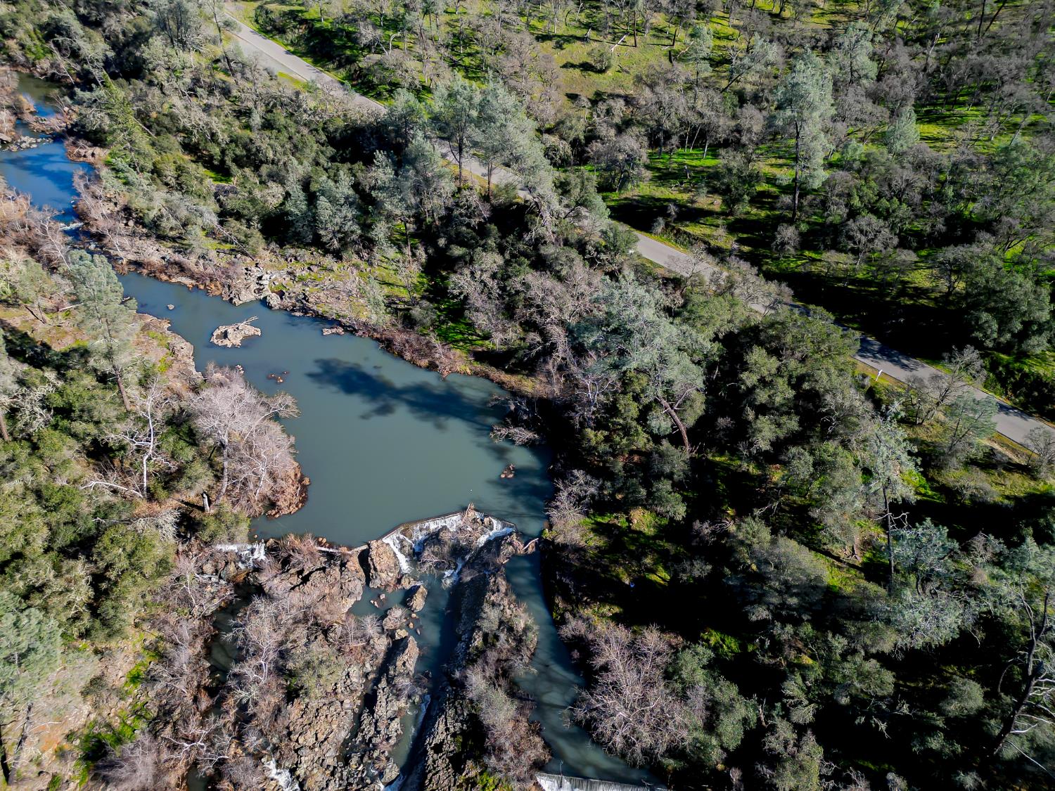 0 Scott Forbes Road Browns Valley, CA 95918 - Photo 67 of 78 a view of a lake with a forest