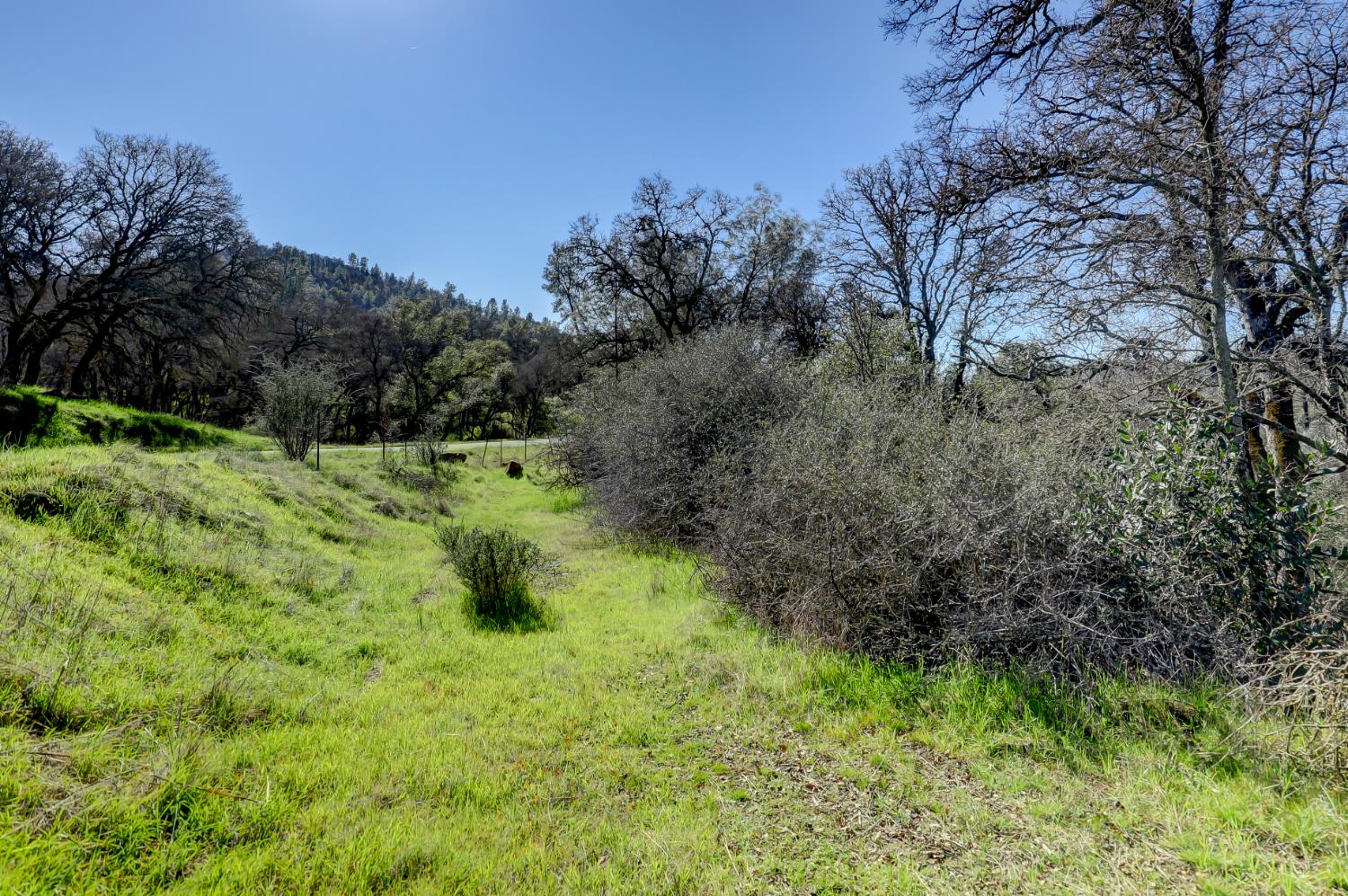 0 Scott Forbes Road Browns Valley, CA 95918 - Photo 69 of 78