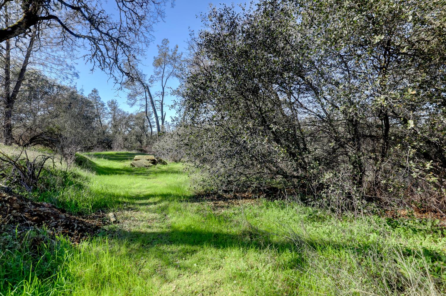 0 Scott Forbes Road Browns Valley, CA 95918 - Photo 70 of 78
