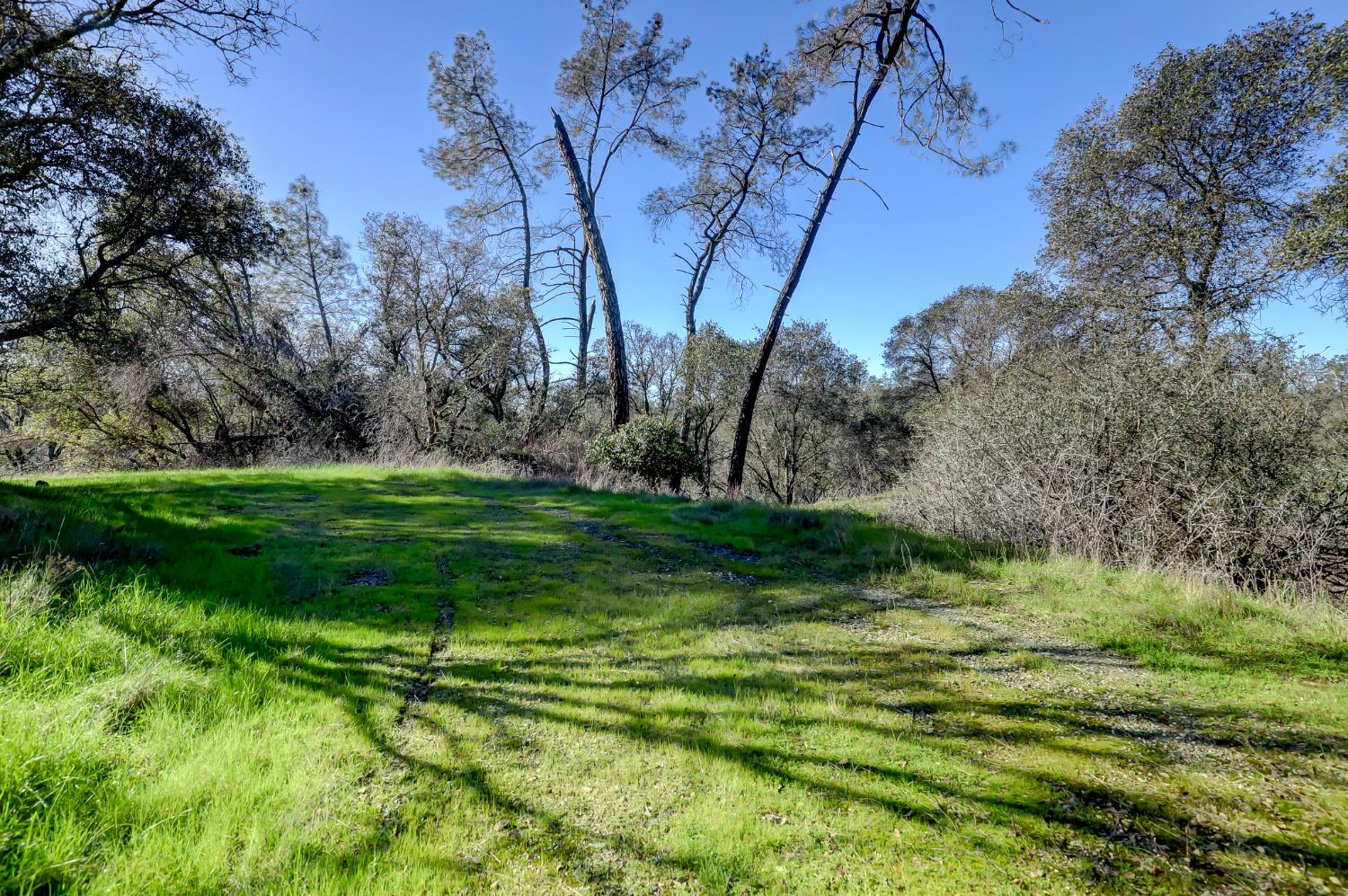 0 Scott Forbes Road Browns Valley, CA 95918 - Photo 71 of 78 a backyard of a house with lots of green space