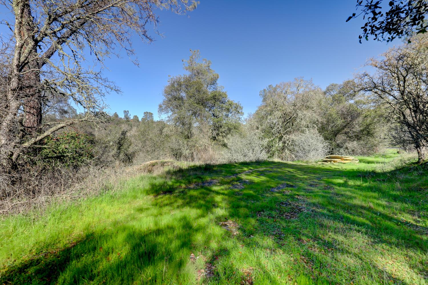0 Scott Forbes Road Browns Valley, CA 95918 - Photo 72 of 78 a view of a field with large trees