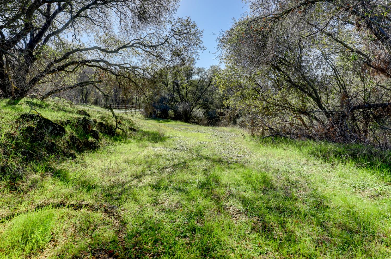 0 Scott Forbes Road Browns Valley, CA 95918 - Photo 73 of 78 a view of a lush green space