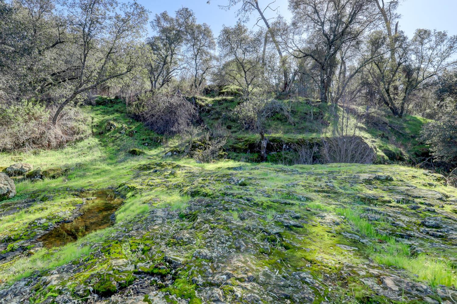 0 Scott Forbes Road Browns Valley, CA 95918 - Photo 74 of 78
