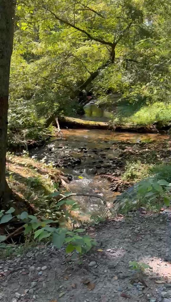 358 Piney Spur Road Ellijay, GA 30536 - Photo 1 of 4 a view of outdoor space with lots of trees