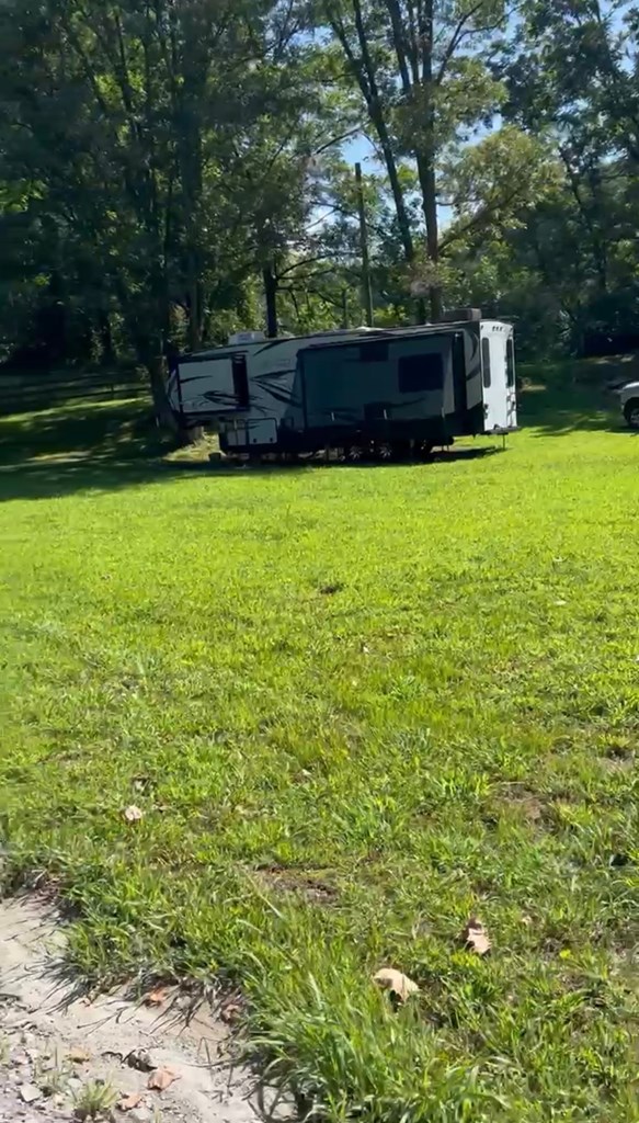 358 Piney Spur Road Ellijay, GA 30536 - Photo 3 of 4 a view of a house with a yard