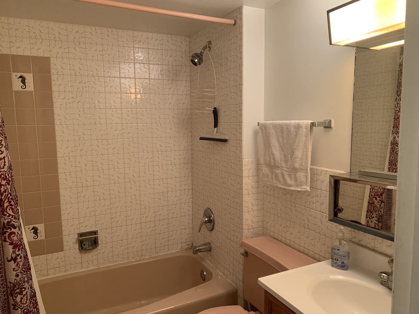 7755 South Roberts Road, Unit 2 Bridgeview, IL 60455 - Photo 13 of 13 a bathroom with a sink and a mirror