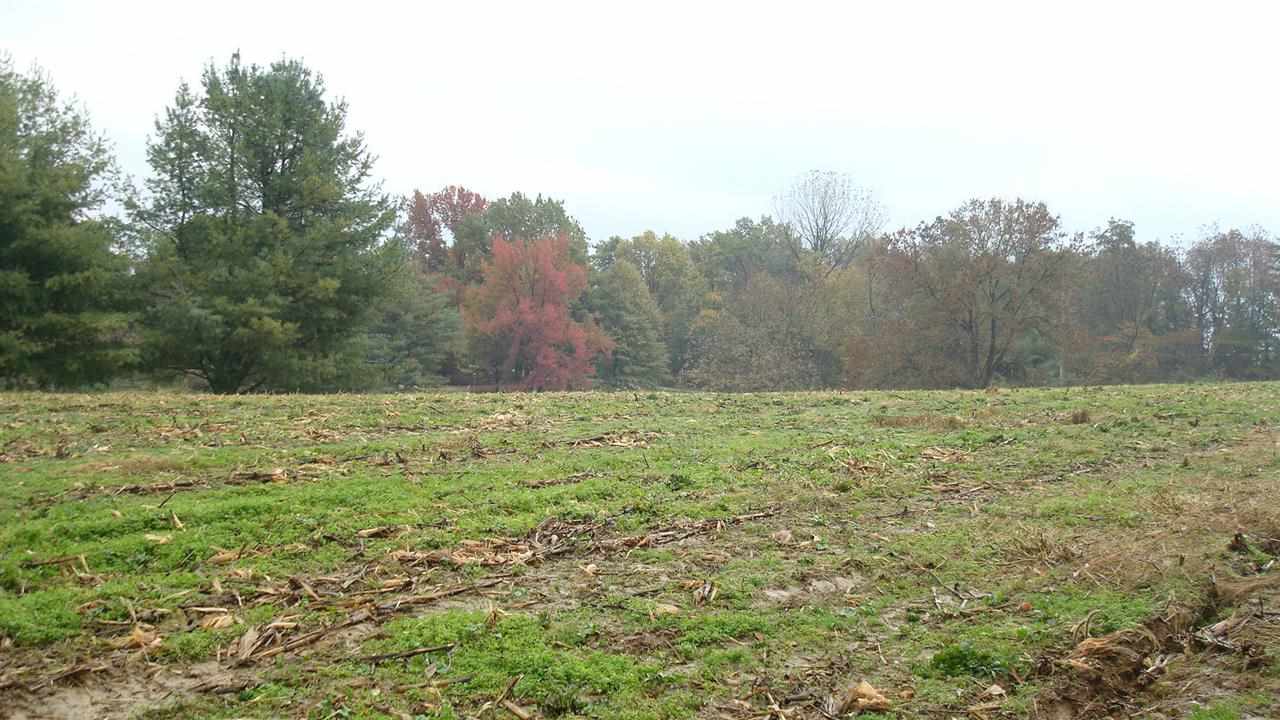 8300 Neu Road Evansville, IN 47720 - Photo 11 of 14