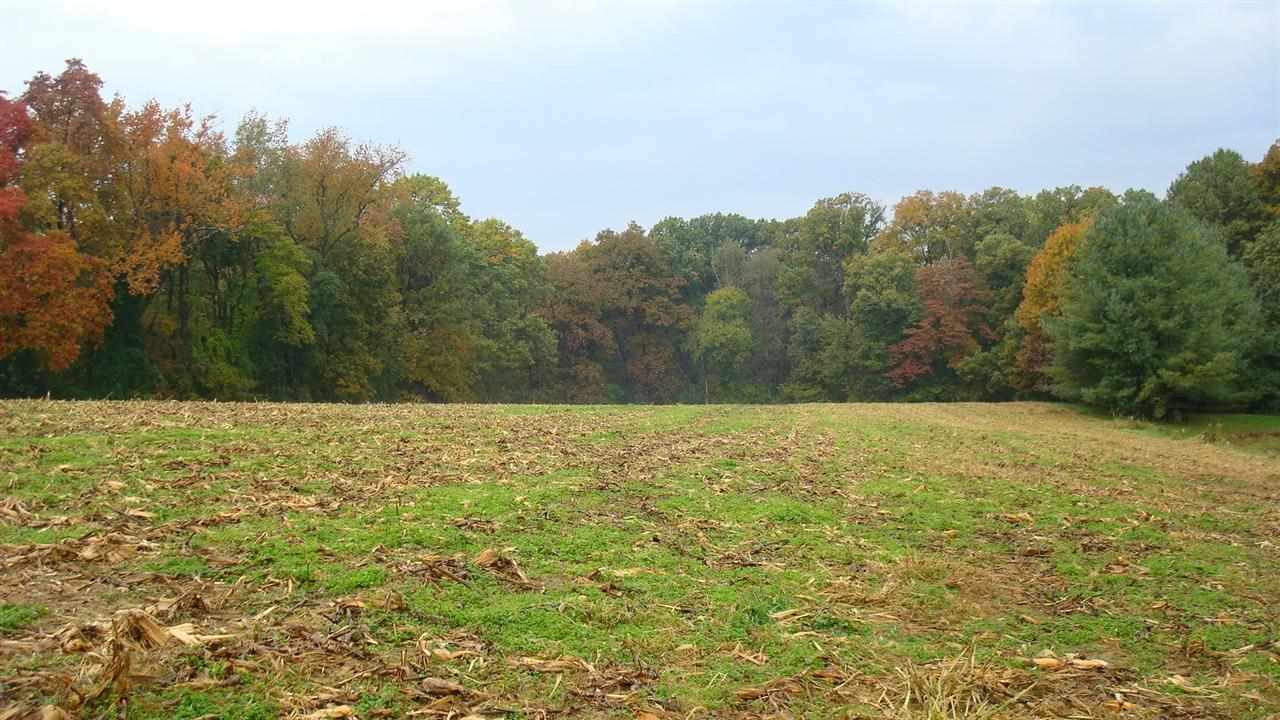 8300 Neu Road Evansville, IN 47720 - Photo 6 of 14