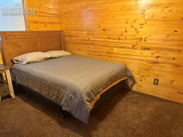 269 Southpark Road Florissant, CO 80816 - Photo 24 of 37