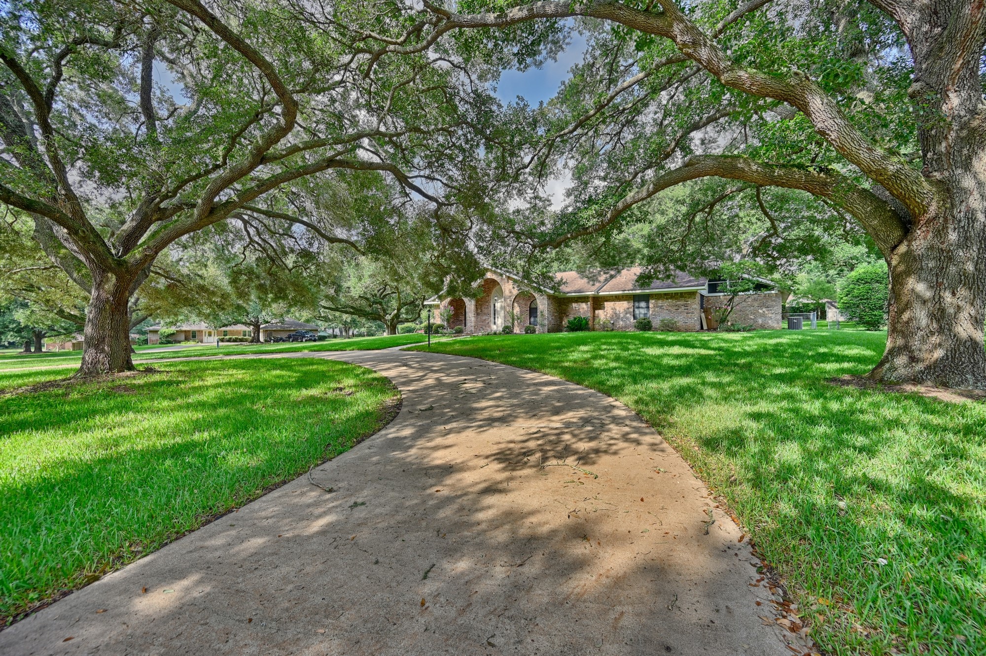 2502 Cheri Lane Brenham, TX 77833 - Photo 6 of 46 a view of a backyard with large trees