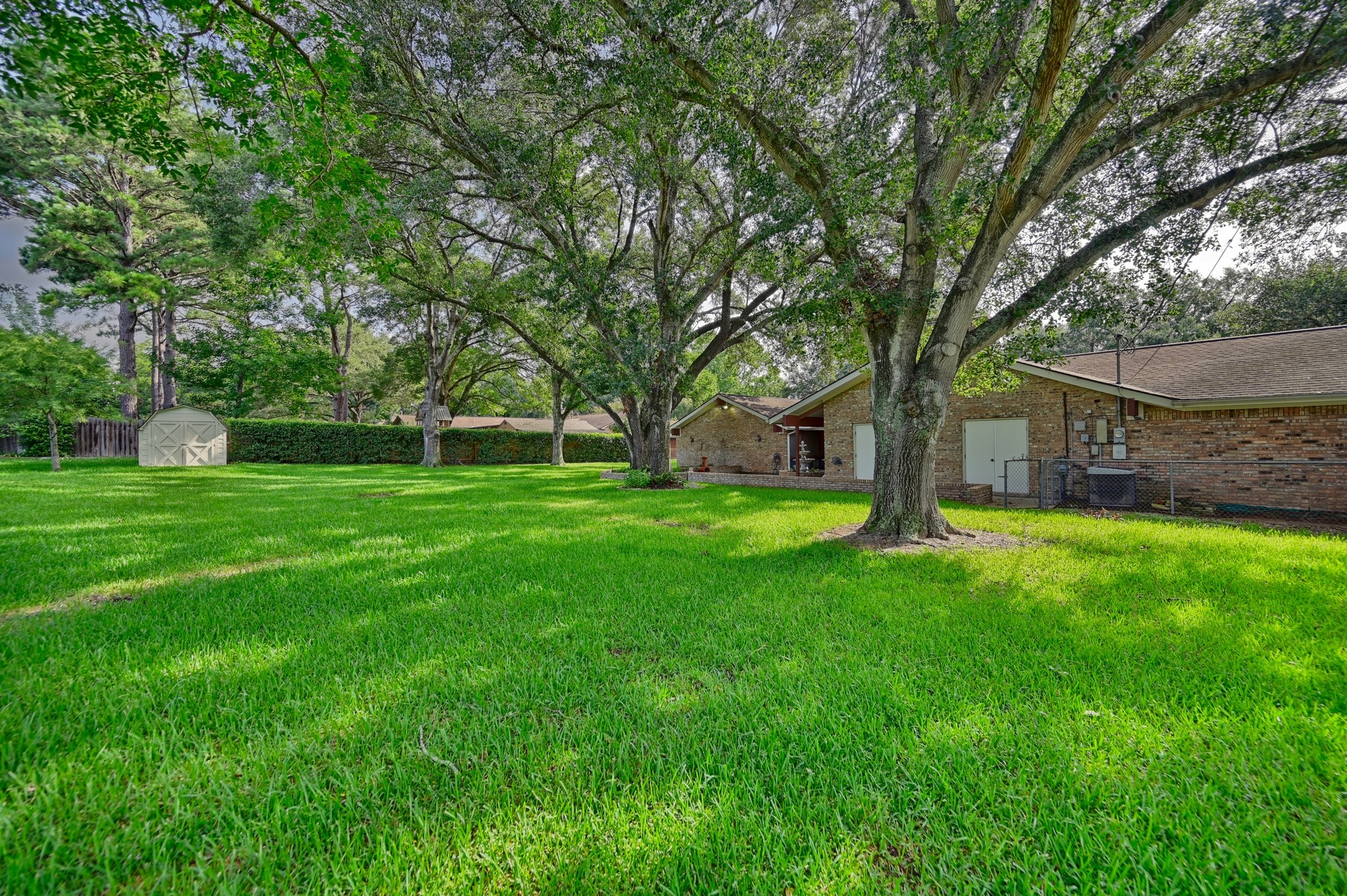 2502 Cheri Lane Brenham, TX 77833 - Photo 9 of 46 a view of a house with backyard and a tree