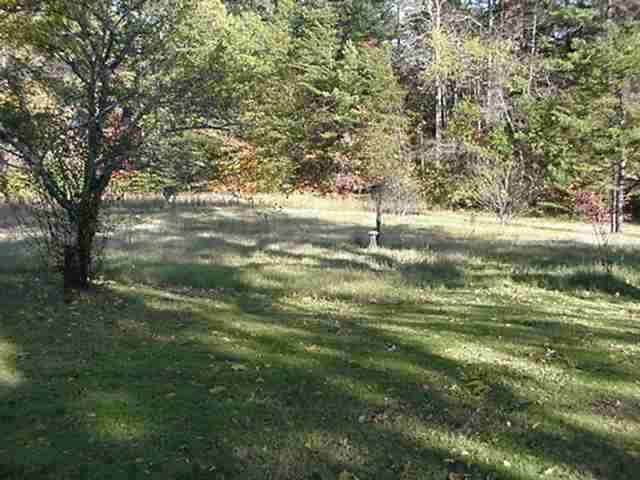 833 Coffee Road Walhalla, SC 29691 - Photo 8 of 17 Gallery Image 8
