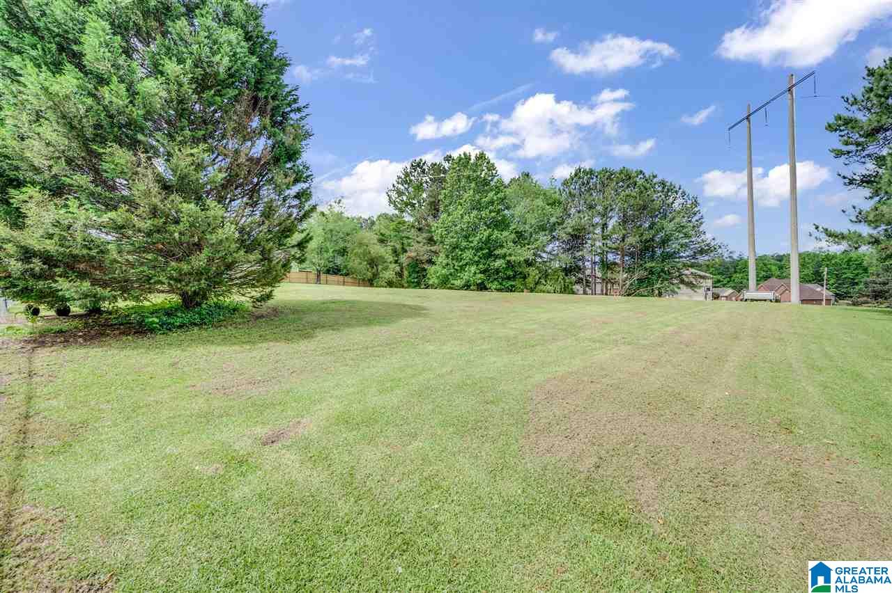 6456 Water Works Road Mount Olive, AL 35117 - Photo 32 of 40