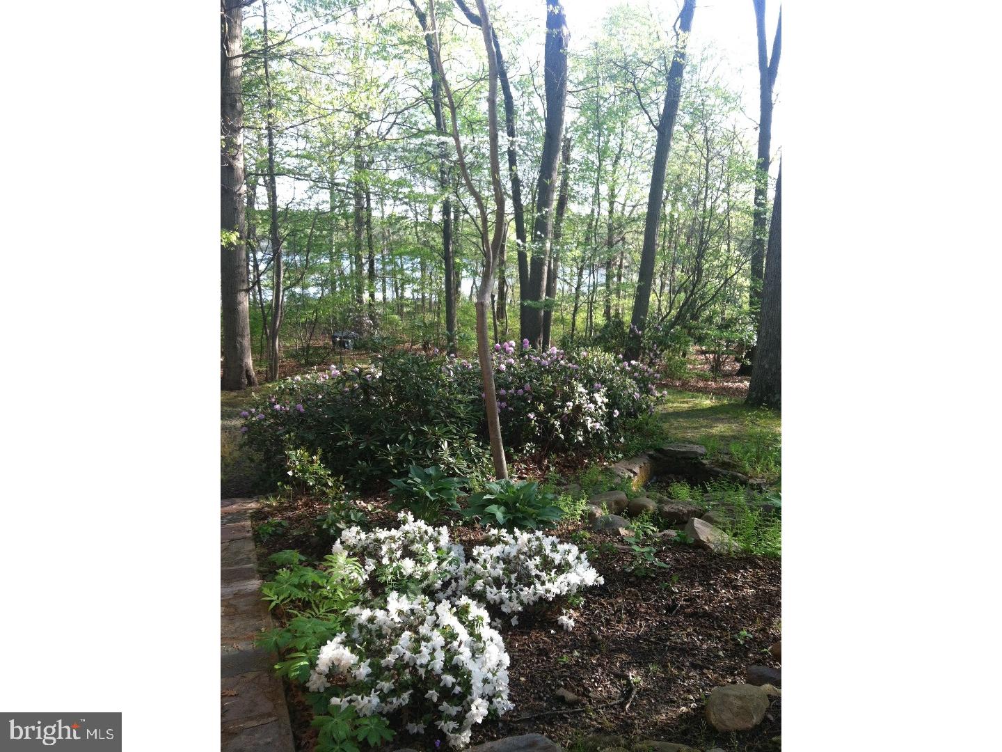 64 North Mill Road Princeton Junction, NJ 08550 - Photo 3 of 25 Gallery Image 3