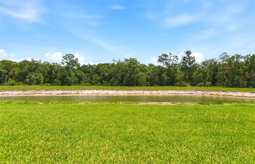 13504 Cyn Rdg Road Spring Hill, FL 34610 - Photo 19 of 36