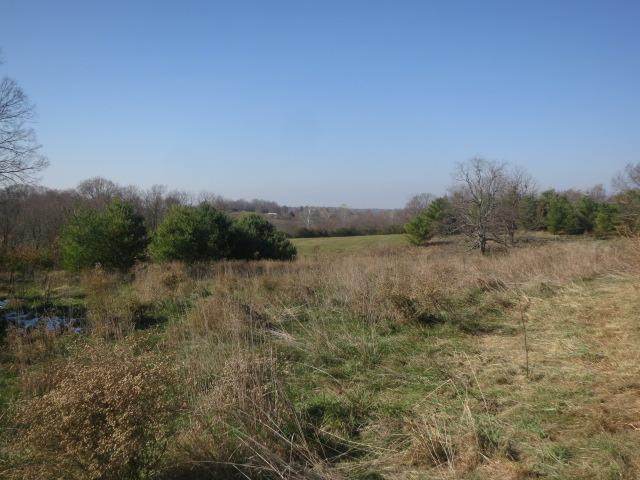 253 Levy Road Paris, KY 40361 - Photo 35 of 35 Photo 35