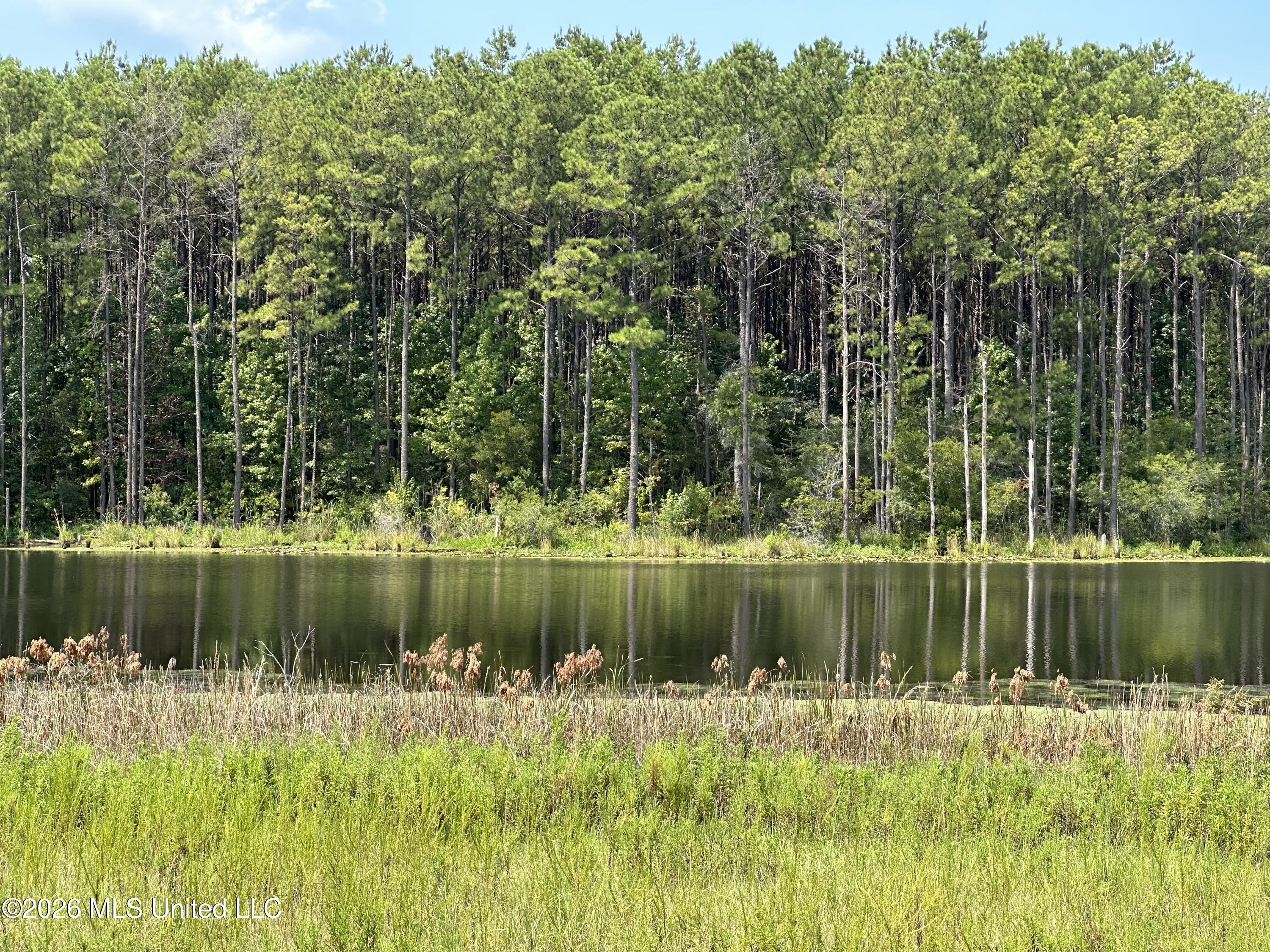 186 New Arbor Road West Carriere, MS 39426 - Photo 1 of 8 2, Photo