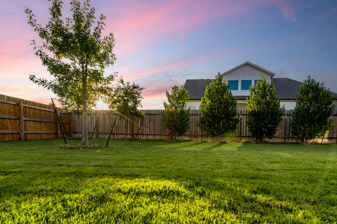 170 Corral Cove Kyle, TX 78640 - Photo 6 of 25 a backyard of a house with plants and palm trees