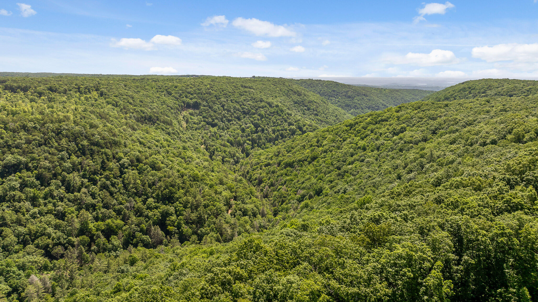 0 Brayton Road, Unit 2 Graysville, TN 37338 - Photo 35 of 40 Roaring Creek Farms-270