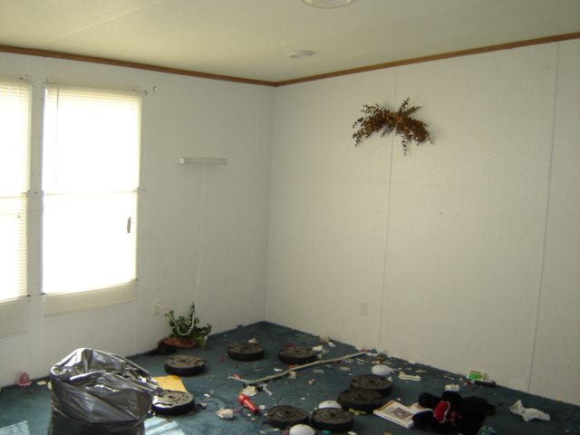 590 Pruitt Road Seneca, SC 29678 - Photo 5 of 6 Gallery Image 5