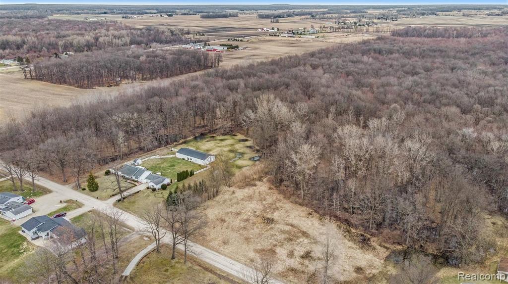 10222 Yensch Road Maybee, MI 48159 - Photo 3 of 6
