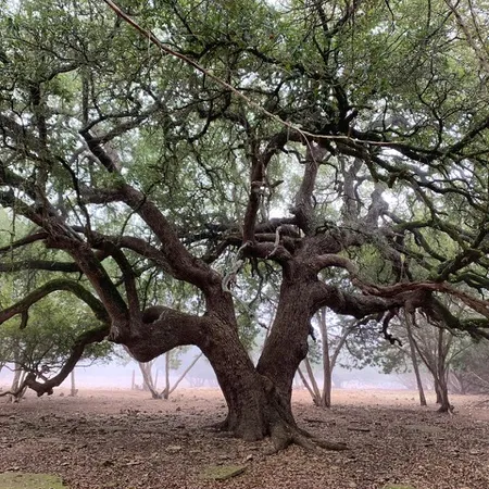 $4,375,000 | 5818 Ranch Road 165, Unit TRACT 1, Blanco, TX 78606