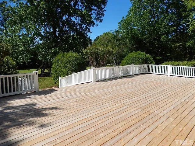 a view of a tree in a yard