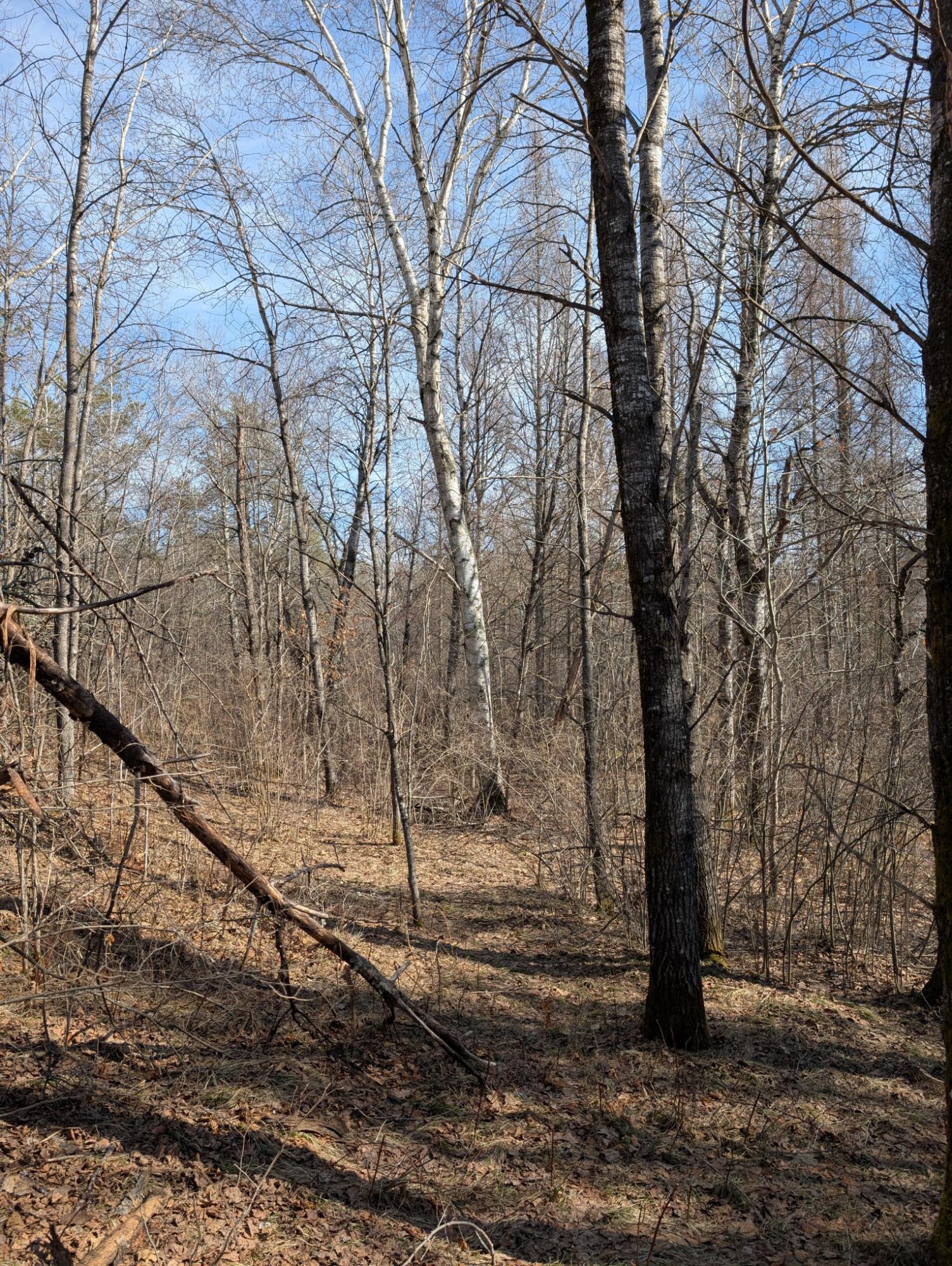 0 Other Springbrook, WI 54875 - Photo 26 of 27 Gallery Image 26