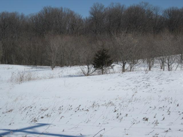 Lot 1 Marken Road Kiel, WI 53042 - Photo 1 of 1 Lot