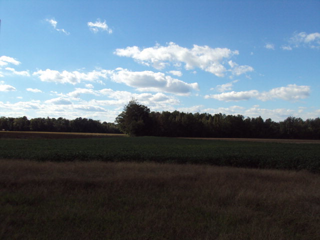 5838 St Rose Church Road Wilson, NC 27893 - Photo 1 of 1 Primary Photo