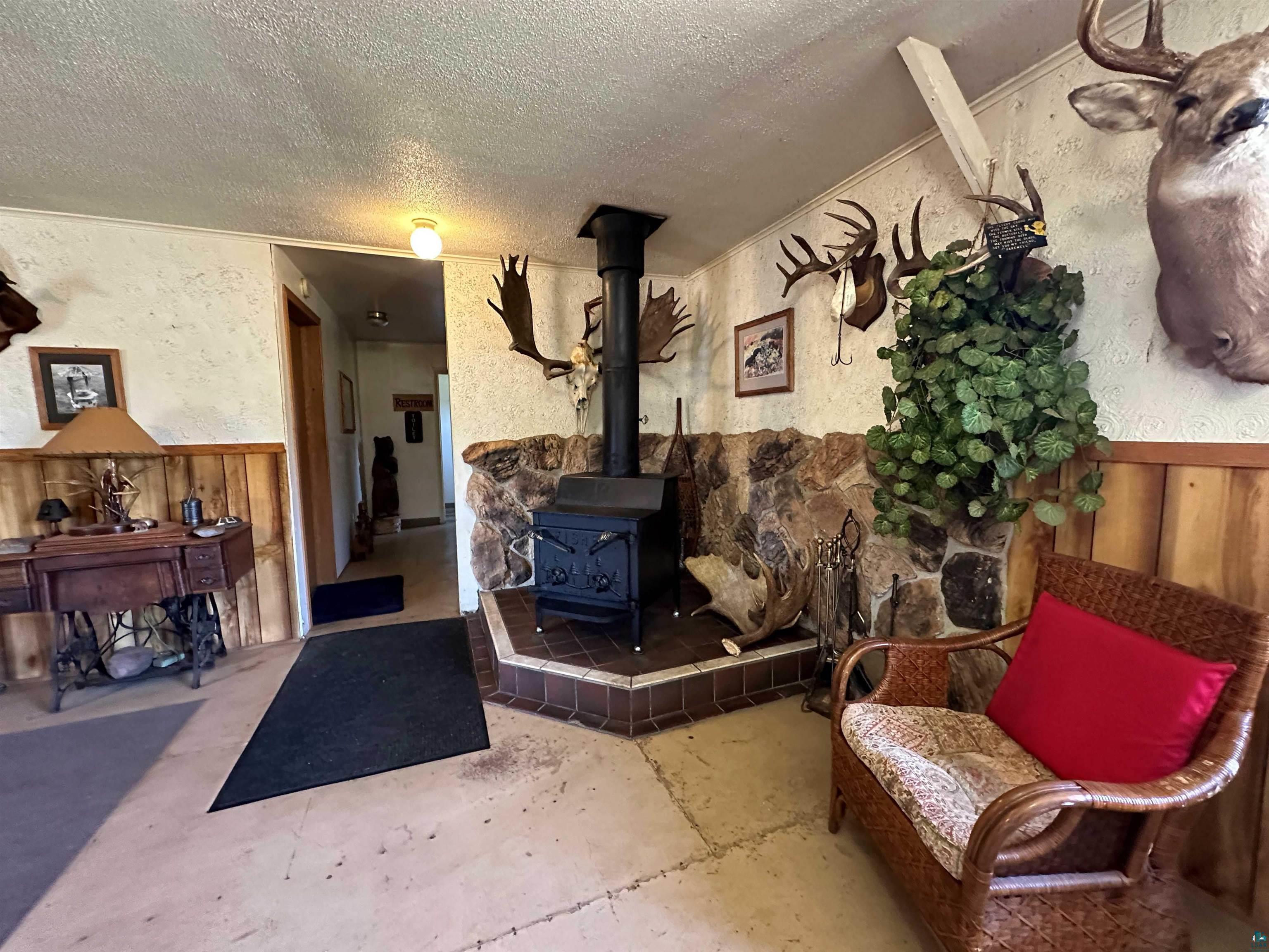 9375 State Highway 1 Isabella, MN 55607 - Photo 29 of 47