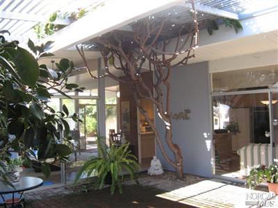 987 Del Ganado Road San Rafael, CA 94903 - Photo 2 of 5 Atrium with mature rubber tree.