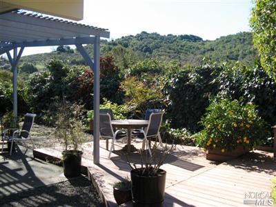 987 Del Ganado Road San Rafael, CA 94903 - Photo 3 of 5 Rear yard with privacy and views to open space