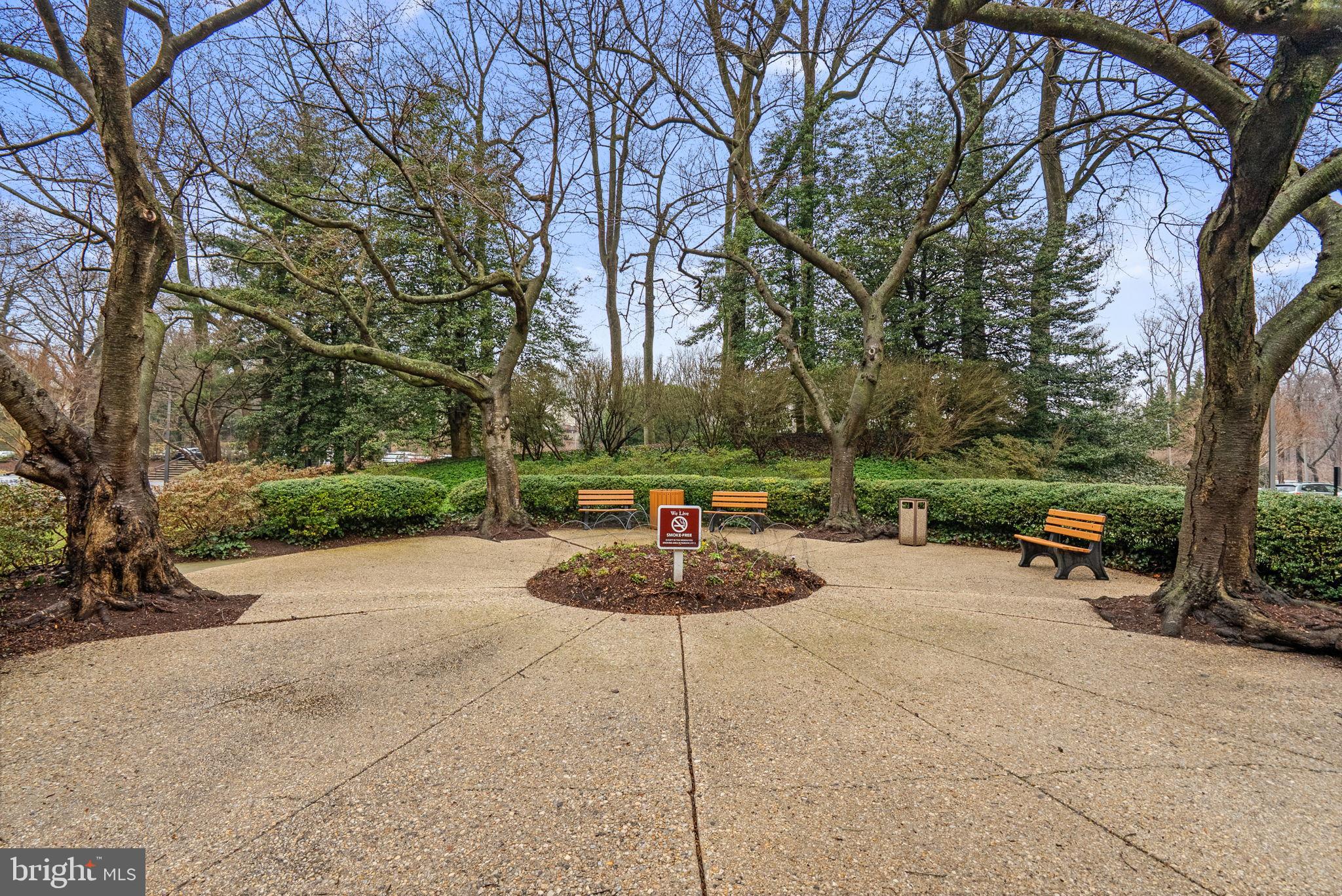 5225 Pooks Hill Road, Unit A24S Bethesda, MD 20814 - Photo 22 of 22 Serene park setting with inviting benches.