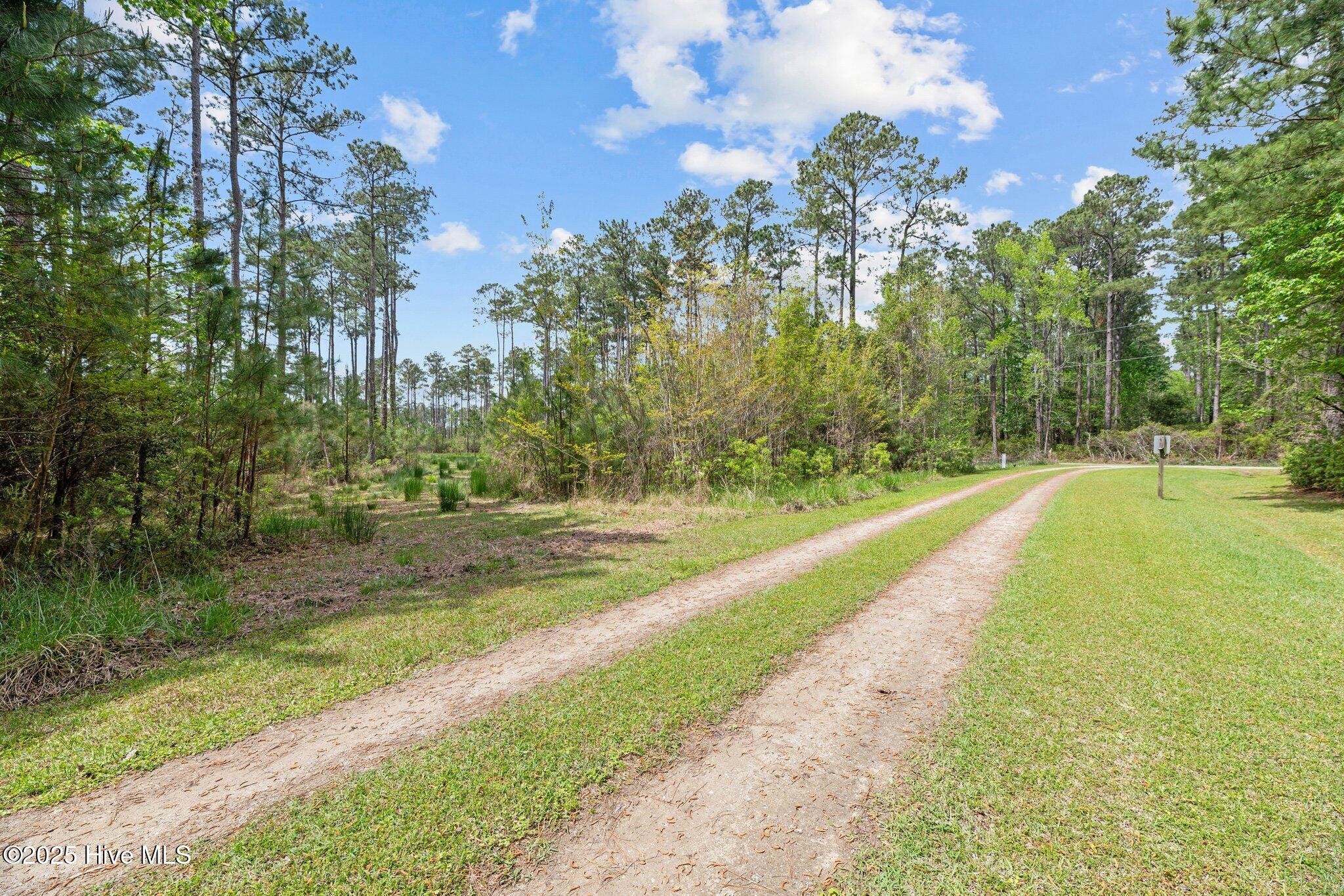 3411 Upper Neck Road Bayboro, NC 28515 - Photo 2 of 16 Driveway 1