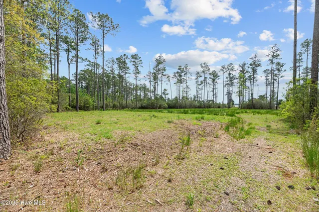 $375,000 | 3411 Upper Neck Road, Bayboro, NC 28515