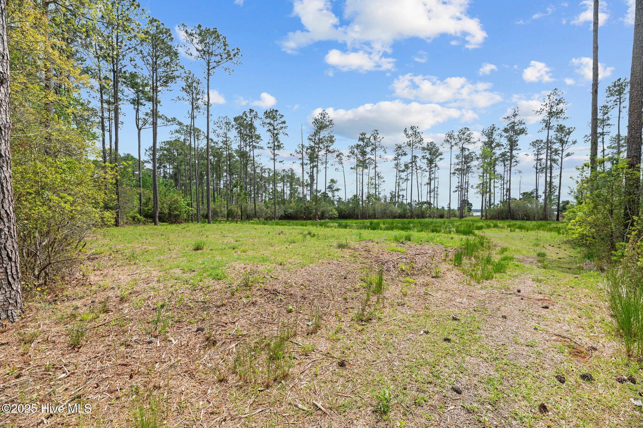 3411 Upper Neck Road Bayboro, NC 28515 - Photo 5 of 16 16-web-or-mls-DSC_0056