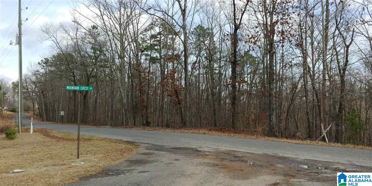 999 Wolf Pen Ridge Road Pell City, AL 35128 - Photo 3 of 6 Gallery Image 3