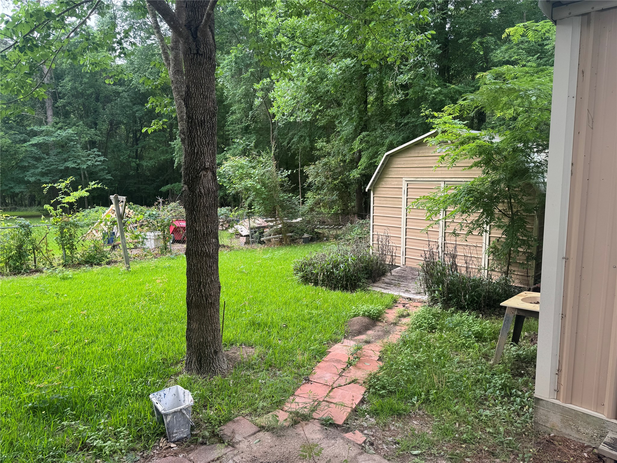 20 Hideaway Trail Coldspring, TX 77331 - Photo 6 of 24 a view of a garden with large trees