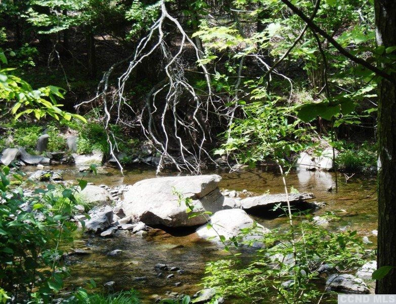 0 South Road Round Top, NY 12473 - Photo 11 of 20 Photo 11