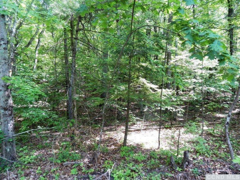 0 South Road Round Top, NY 12473 - Photo 12 of 20 Photo 12