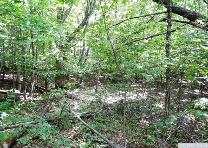0 South Road Round Top, NY 12473 - Photo 13 of 20 Photo 13