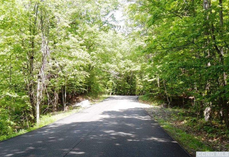0 South Road Round Top, NY 12473 - Photo 14 of 20 Photo 14