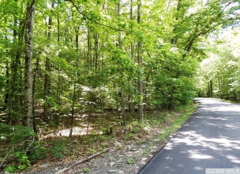 0 South Road Round Top, NY 12473 - Photo 15 of 20 Photo 15