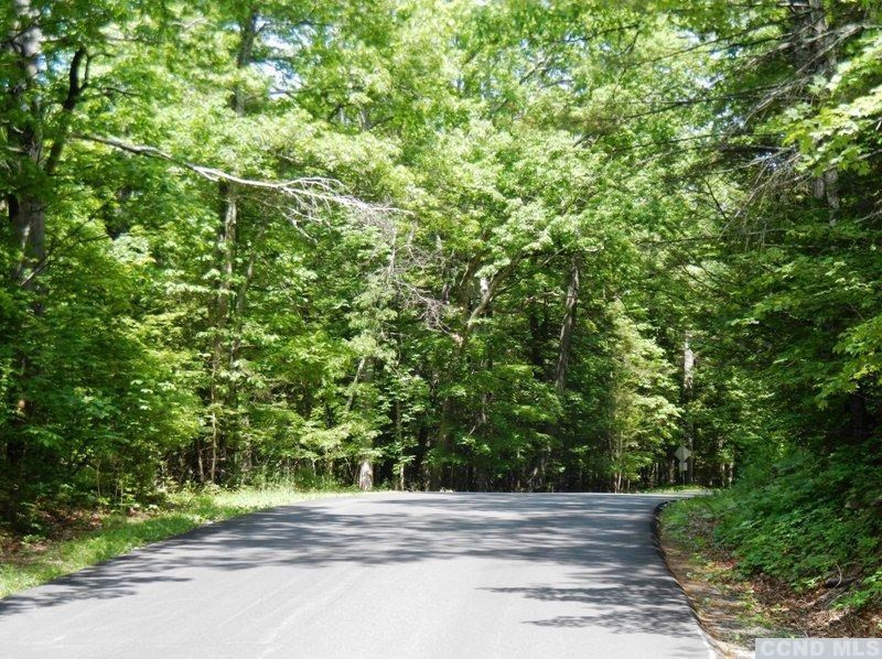0 South Road Round Top, NY 12473 - Photo 16 of 20 Photo 16