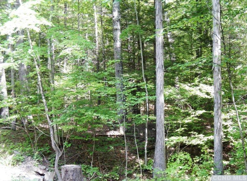 0 South Road Round Top, NY 12473 - Photo 17 of 20 Photo 17