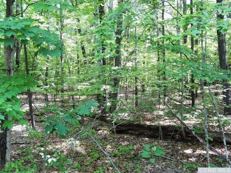 0 South Road Round Top, NY 12473 - Photo 18 of 20 Photo 18